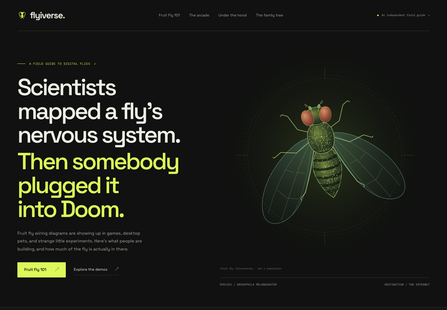 Above the fold of the Flyiverse homepage: an illustrated fly beside the headline Scientists mapped a fly’s nervous system. Then somebody plugged it into Doom.